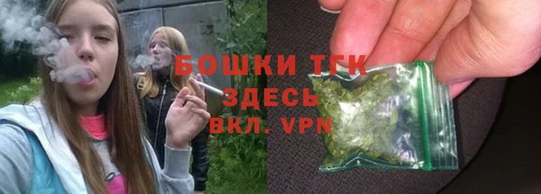 молекула духа Дмитров