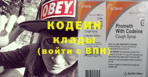 молекула духа Дмитров