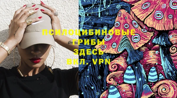 молекула духа Дмитров