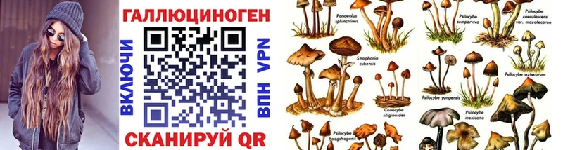 Купить  Коломна  Галлюциногенные грибы прущие грибы 